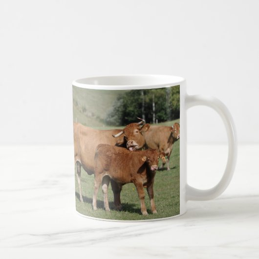 彼女の子牛を舐めている牛 コーヒーマグカップ (右)