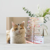 彼女の小型クリスマスツリーによってあるさらさのコート シーズンカード (スタンド正面)