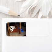 彼女の居場所 ラベル (インサイチュ)