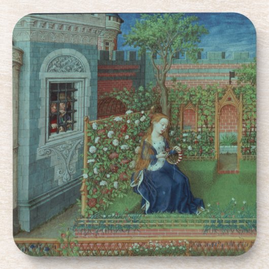 彼女の庭のEmelye。 投獄された騎士Palam コースター (正面)