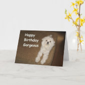 彼女の挨拶状のためのマルタの誕生日の願い カード (黄色い花)