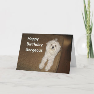 彼女の挨拶状のためのマルタの誕生日の願い カード