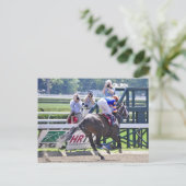 彼女の最初のレースでストッキンマリアが勝利した。 ポストカード (スタンド正面)