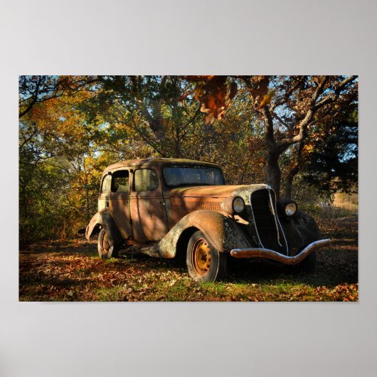 彼女の栄光のエセックス・テラプレーン ポスター (正面)