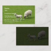 彼女の母を持つベビーのヒツジの写真 名刺 (正面/裏面)