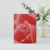 彼女の目の涙 ポストカード (スタンド正面)