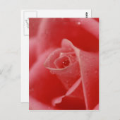 彼女の目の涙 ポストカード (正面/裏面)