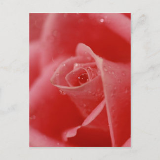 彼女の目の涙 ポストカード