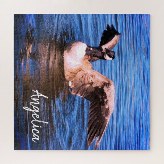 彼女の翼の青海原の自然をはためかしているカナダのガチョウ ジグソーパズル (横)