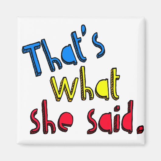 彼女の言った事は磁石だ マグネット (正面)