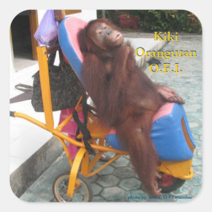 彼女の車椅子のKiKiのオランウータン スクエアシール