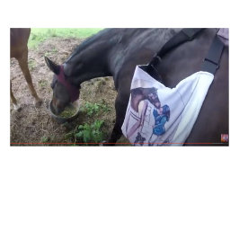 彼女はおもしろいだ！ ツートーンマグカップ