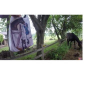 彼女はおもしろいだ！ ツートーンマグカップ