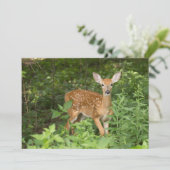 彼女はまだ彼女のスポットを持っている – Fawn Notecard サンキューカード (スタンド正面)