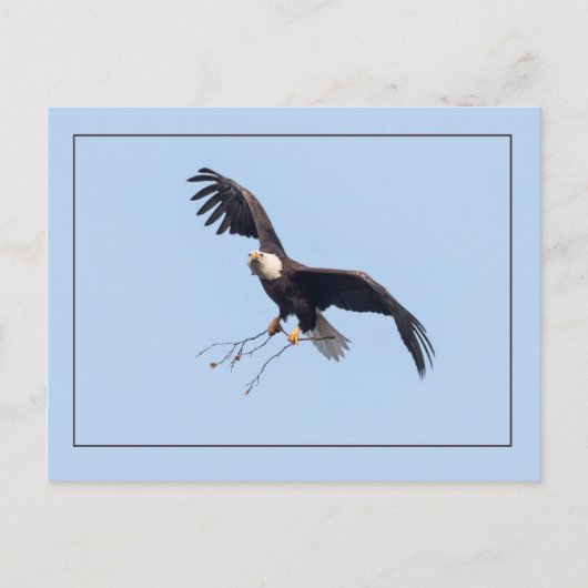 彼女はステッキを持っている ポストカード (正面)