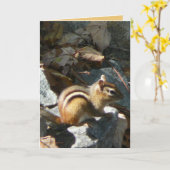 彼女はストップ カード (黄色い花)