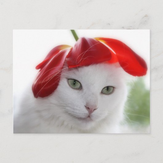 彼女はチューリップのような形の帽子をかぶった ポストカード (正面)