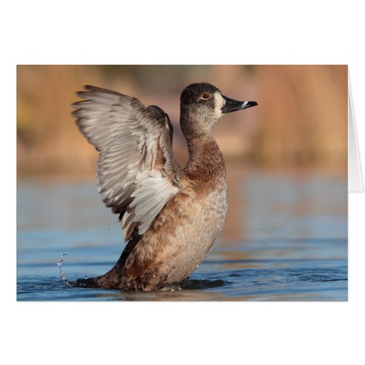 彼女はフラッパーだ (正面横)