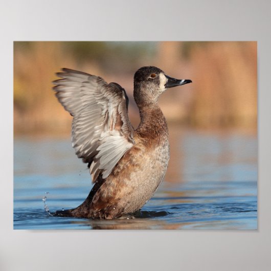 彼女はフラッパーだ ポスター (正面)