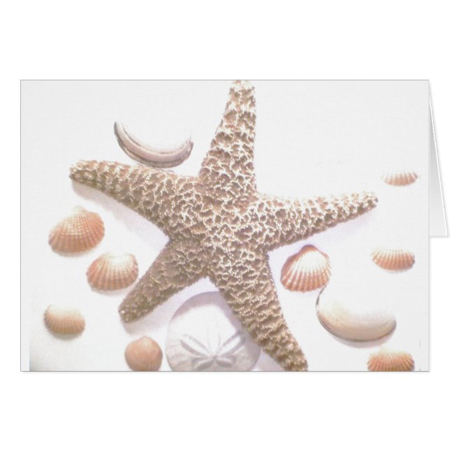 彼女は海の貝を販売します (正面横)