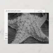 彼女は海岸で貝殻を売っている ポストカード (正面/裏面)