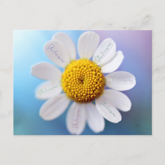 「彼女は私を愛している」デイジーはがき ポストカード (正面)