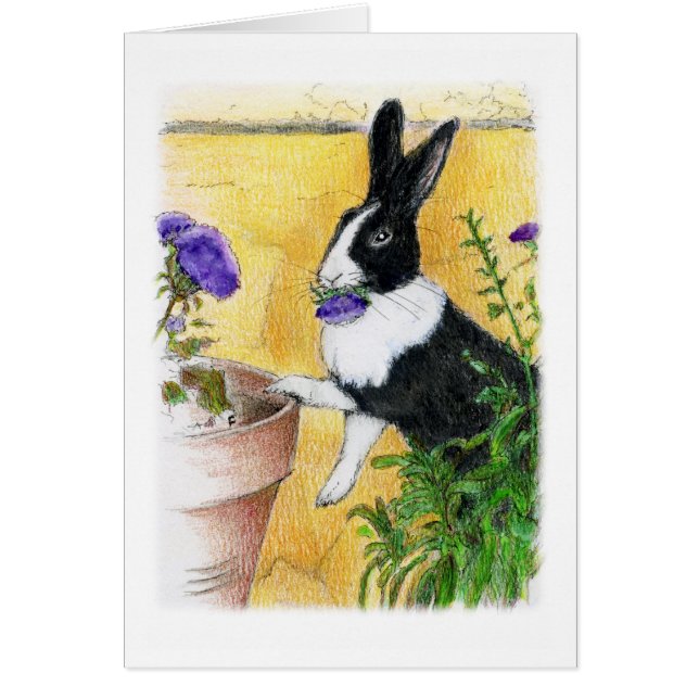 彼女は私を愛します (正面)