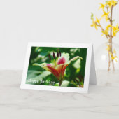 彼女は美しい.... カード (黄色い花)