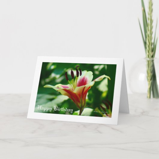 彼女は美しい.... カード (正面)