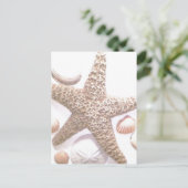 彼女は貝殻を売っている ポストカード (スタンド正面)