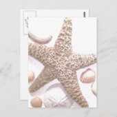 彼女は貝殻を売っている ポストカード (正面/裏面)