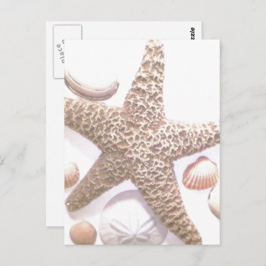 彼女は貝殻を売っている ポストカード (正面/裏面)