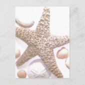 彼女は貝殻を売っている ポストカード (正面)