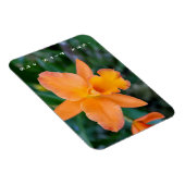 彼女はYes婚約磁石と言った マグネット (右側)