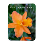 彼女はYes婚約磁石と言った マグネット (縦)