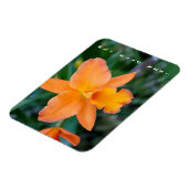 彼女はYes婚約磁石と言った マグネット (左側)