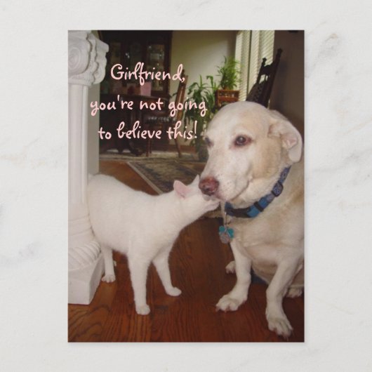 彼女やめ信じろ! ポストカード (正面)