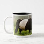 彼女を生み出しているギャロウェーベルトを付けられた牛の霧深い場面 ツートーンマグカップ (左)