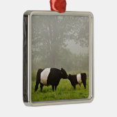 彼女を生み出しているギャロウェーベルトを付けられた牛の霧深い場面 メタルオーナメント (右)