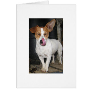 彼女を舐める喜びチョップ