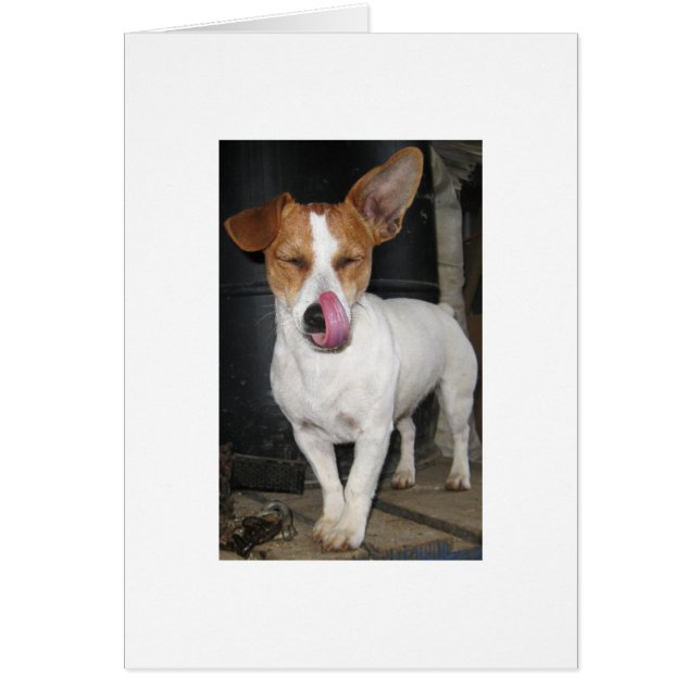 彼女を舐める喜びチョップ (正面)