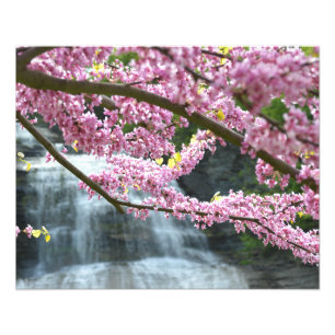 彼女qua ga滝20" x16"写真のプリント フォトプリント