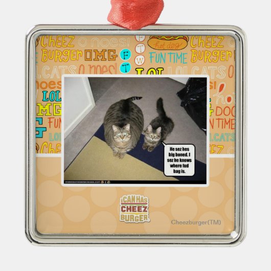 彼骨を抜かれるsezのhesの大きい メタルオーナメント (正面)