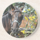 待ち伏せ馬 コースター (正面)