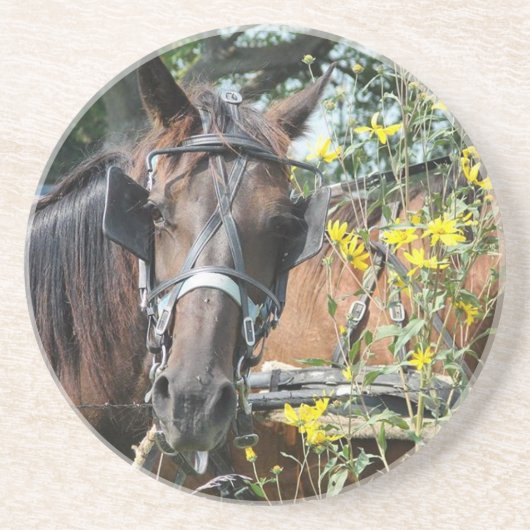 待ち伏せ馬 コースター (正面)