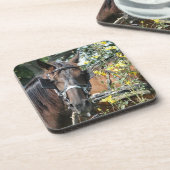 待ち伏せ馬 コースター (左側)