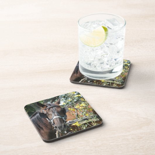 待ち伏せ馬 コースター (右側)