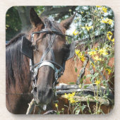 待ち伏せ馬 コースター (正面)