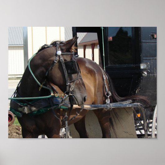 待ち伏せ馬 ポスター (正面)