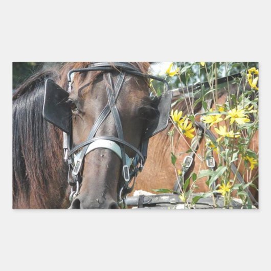 待ち伏せ馬 長方形シール (正面)